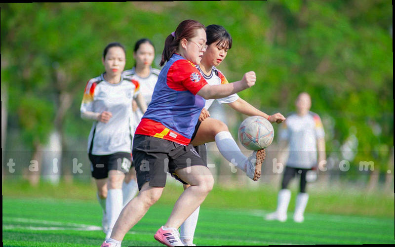 几何圆形与连接线，体现编辑校验与工程师协同